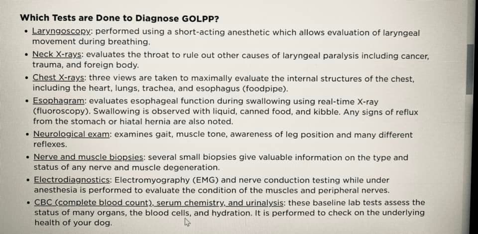 GOLPP Diagnosis Test